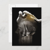 Swan 2013 postkarte (Vorne/Hinten)