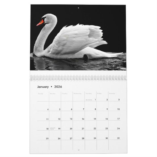 Swan 2025 kalender (Jan 2026)