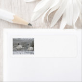 Swan Address Labels (Insitu)