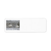 Swan Address Labels (Vorne)