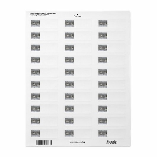 Swan Address Labels (Vorne)