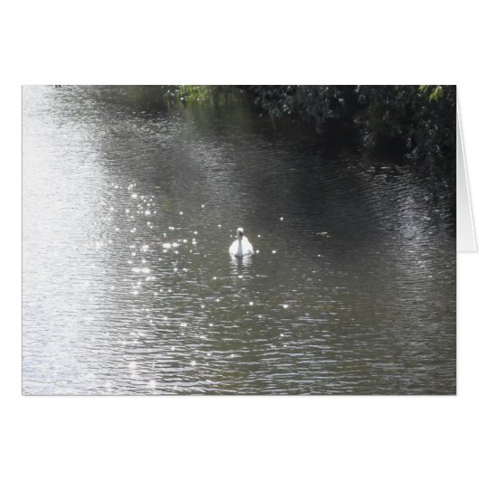 Swan am Fluss (Vorderseite (Horizontal))