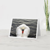 Swan am Portrait-See Karte (Vorderseite)