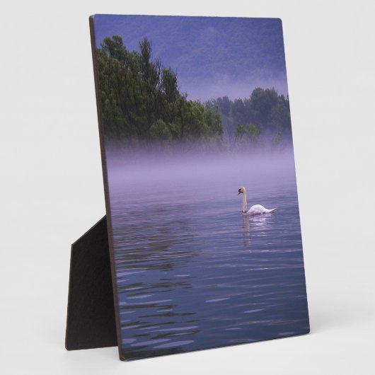 Swan am See Fotoplatte (Seite)