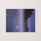 Swan am See Puzzle (Horizontal)