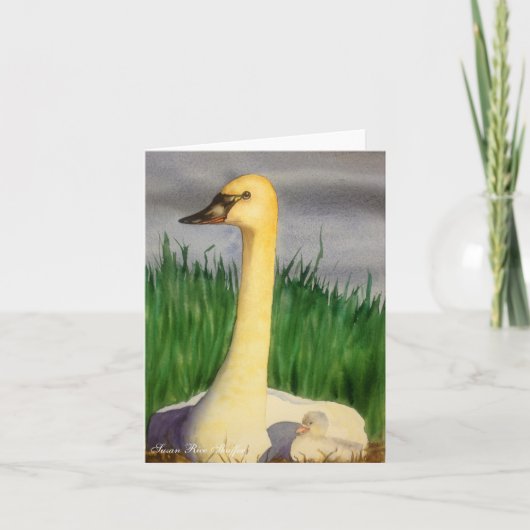Swan and Cygnet Note Card Karte (Vorderseite)