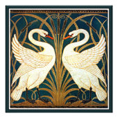 Swan and Rush and Iris Fotodruck (Vorne)