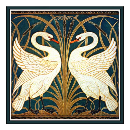 Swan and Rush and Iris Fotodruck (Vorne)