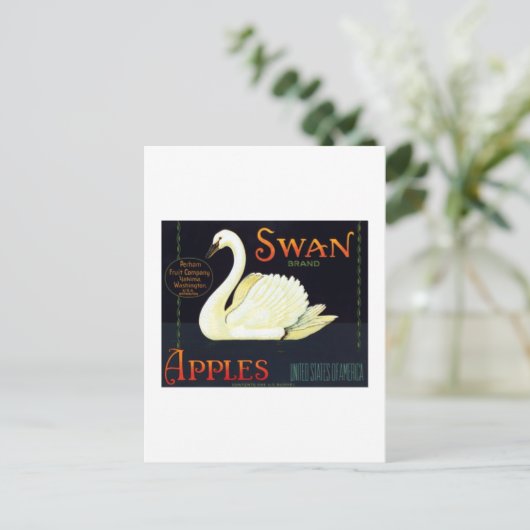 Swan Apples Postkarte (Stehend Vorderseite)