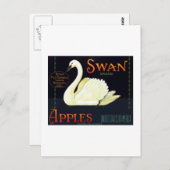Swan Apples Postkarte (Vorne/Hinten)