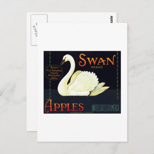 Swan Apples Postkarte (Vorne/Hinten)