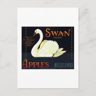 Swan Apples Postkarte