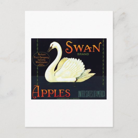 Swan Apples Postkarte (Vorderseite)