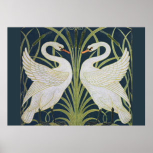 Swan Art Nouveau Two Swans Poster
