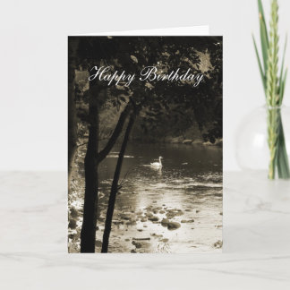 Swan auf dem Fluss - Geburtstag Karte
