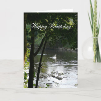 Swan auf dem Fluss II - Geburtstag Karte