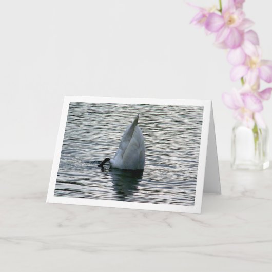 Swan Auf dem See Karte (Orchidee)