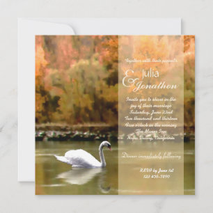 Swan auf der Donau Einladung