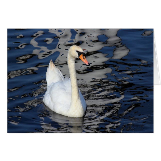 Swan auf einem See (Vorderseite (Horizontal))