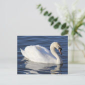 Swan auf einem See Postkarte (Stehend Vorderseite)