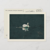 Swan auf einem See Postkarte (Vorne/Hinten)