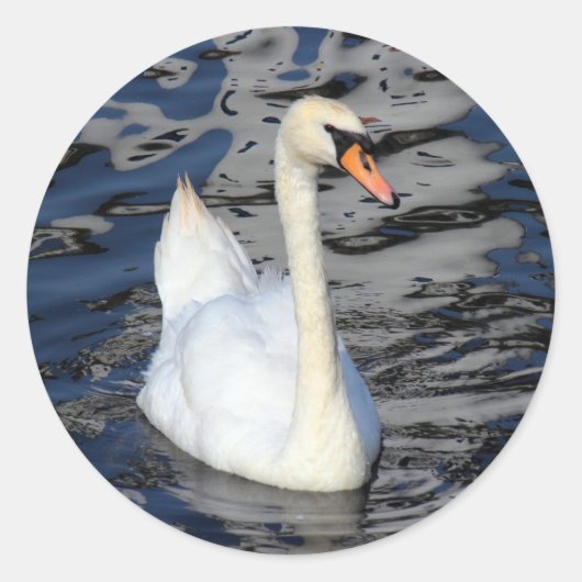 Swan auf einem See Runder Aufkleber (Vorderseite)