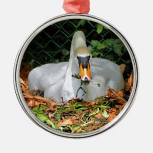 Swan auf seinem Nest Ornament Aus Metall