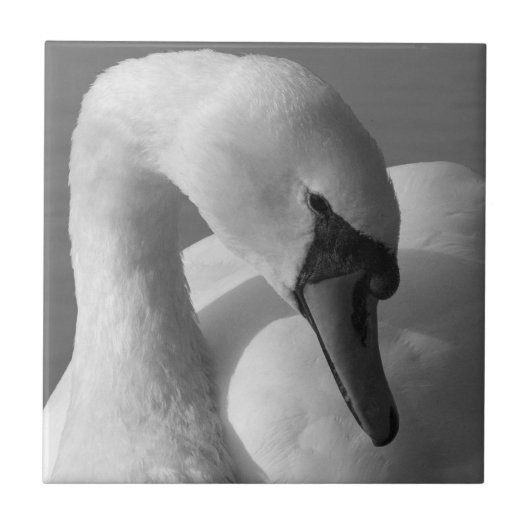Swan (B&W) Fliese (Vorderseite)