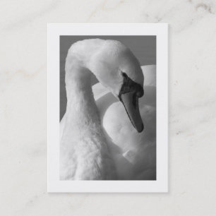 Swan B&W (Grenze) Visitenkarte