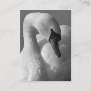 Swan B&W Visitenkarte