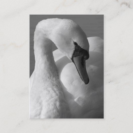 Swan B&W Visitenkarte (Vorderseite)