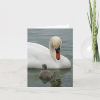 Swan Baby-Ankündigung Einladung