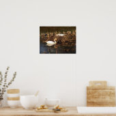 Swan beobachtet sein Partnerposter Poster (Küche)
