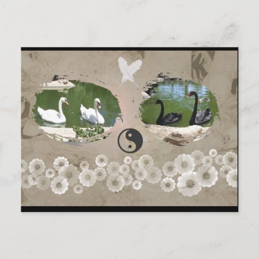 Swan-Bilanz-Postkarte Postkarte (Vorderseite)