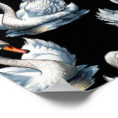 Swan Birds Muster Design Poster (Ecke)