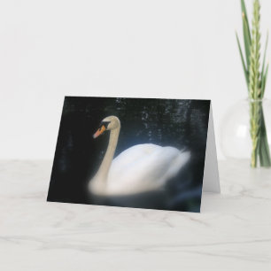 Swan Birthday Card Karte