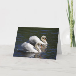 Swan Birthday Card Karte