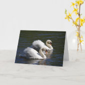 Swan Birthday Card Karte (Gelbe Blume)