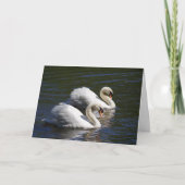 Swan Birthday Card Karte (Vorderseite)