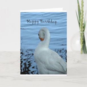 Swan Birthday Card Karte
