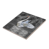 Swan Black and White Fotografy Fliese (Seite)