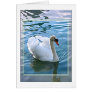 Swan Blank Card