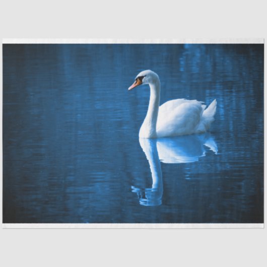 Swan Blue Lake Decoupage Tissue Paper Seidenpapier (Vorderseite)