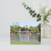 Swan Boats, Boston, MA, Fotografie Postkarte (Stehend Vorderseite)
