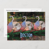 Swan Boats Postcard Postkarte (Vorne/Hinten)