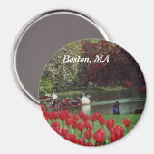 Swan Boats und Red Tulips Magnet (Vorderseite/Rückseite)