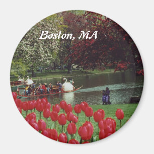Swan Boats und Red Tulips Magnet