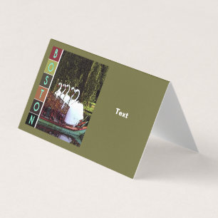 Swan Boote im Sommer - Boston