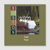 Swan Boote im Sommer - Boston Magnetkarte (Vorderseite)