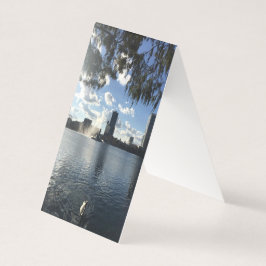 Swan Business Card Visitenkarten